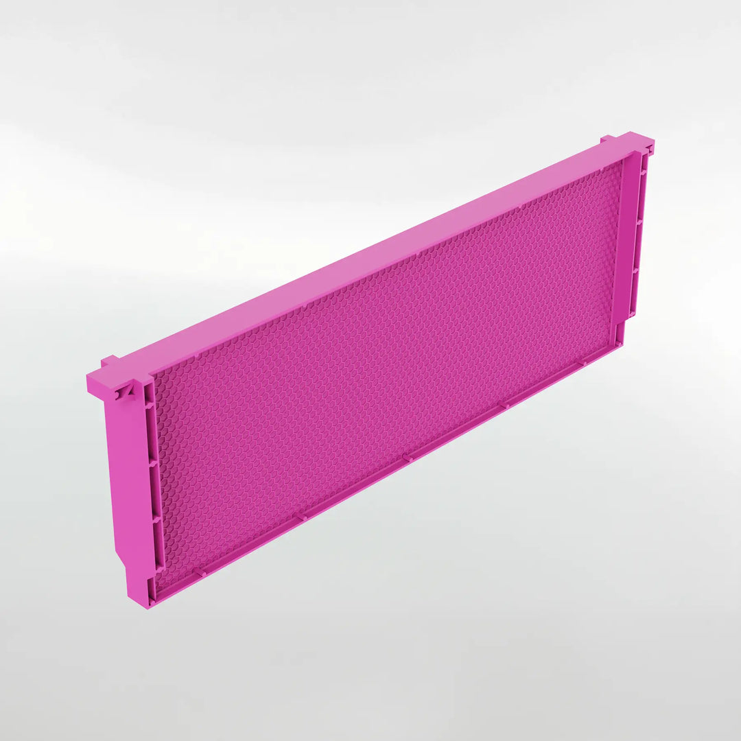 Acorn One-Piece Plastic Bee Frames — Made in USA | Acorn Bee