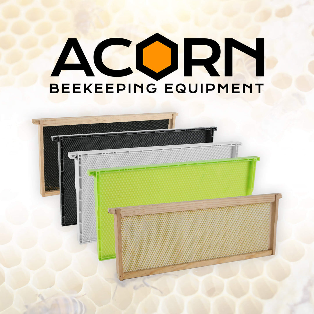 Shop Beekeeping Equipment | Frames, Foundations & More – Acorn Bee
