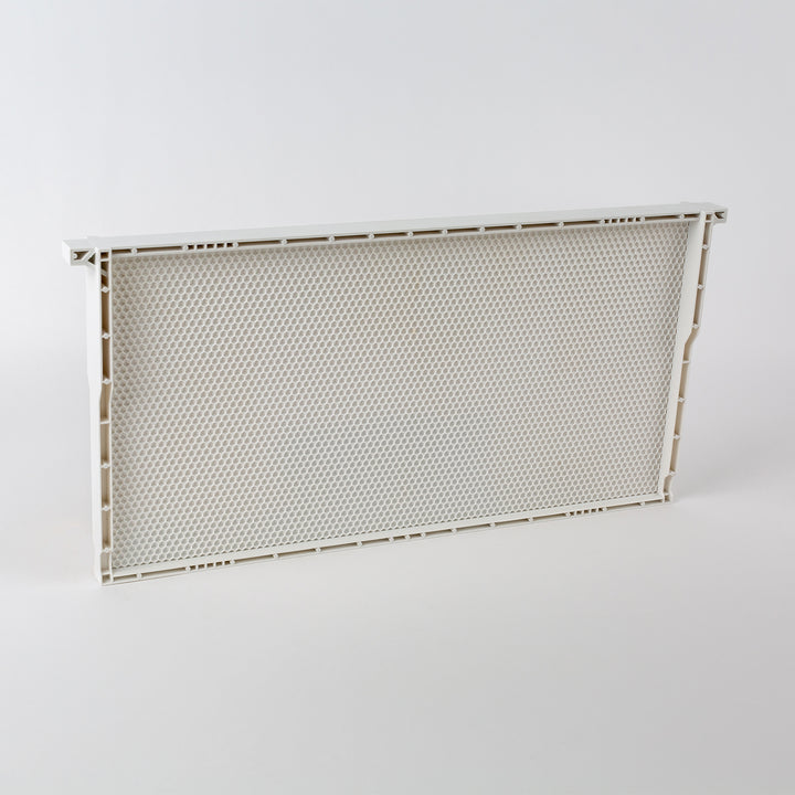 Erdnase 1902 Bee Acorn Back Ivory 3個 AB-Panel-Photos-1800x1800-