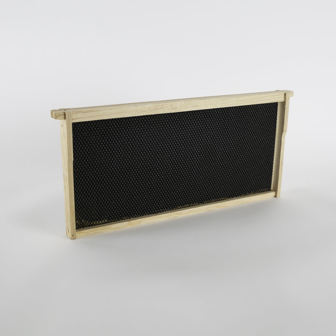 Wooden Bee Frames with Foundation Pre-Assembled | Shop – Acorn Bee