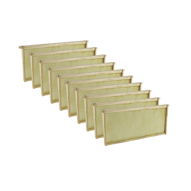 Wooden Bee Frames with Foundation Pre-Assembled | Shop – Acorn Bee LLC
